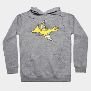 Dinosaur Pterodactyl Hoodie